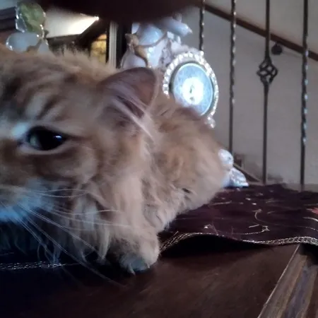 Dworek Pod Herbem בית חווה Gądkowice