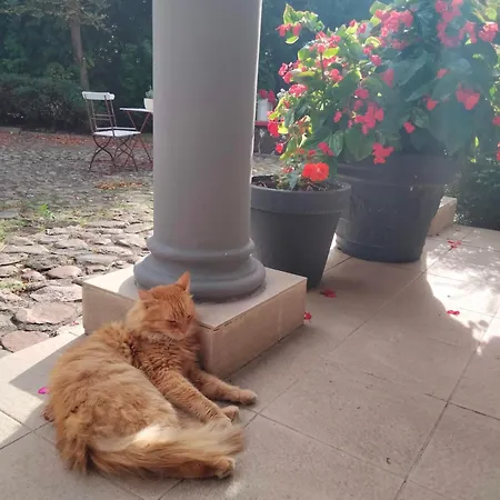 בית חווה Dworek Pod Herbem *