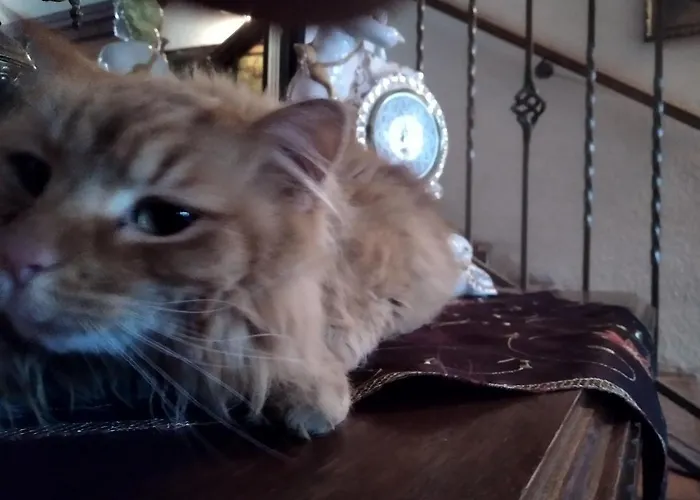 Dworek Pod Herbem Gospodarstwo agroturystyczne Gądkowice