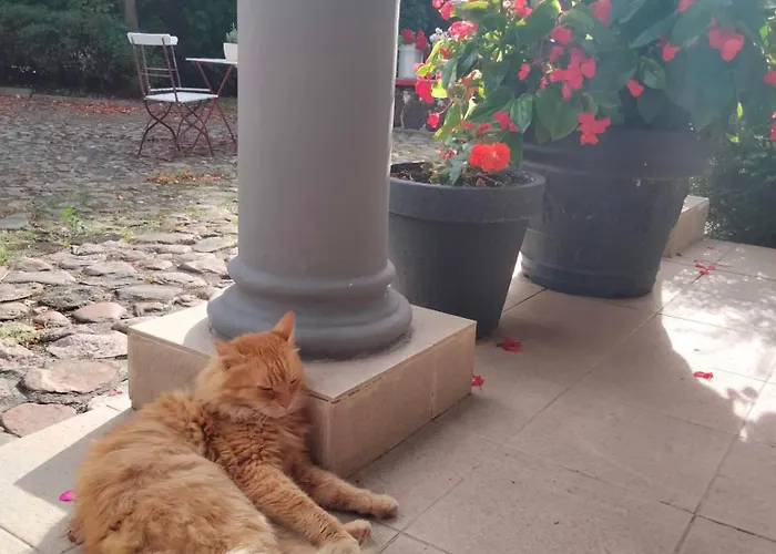 Gospodarstwo agroturystyczne Dworek Pod Herbem *